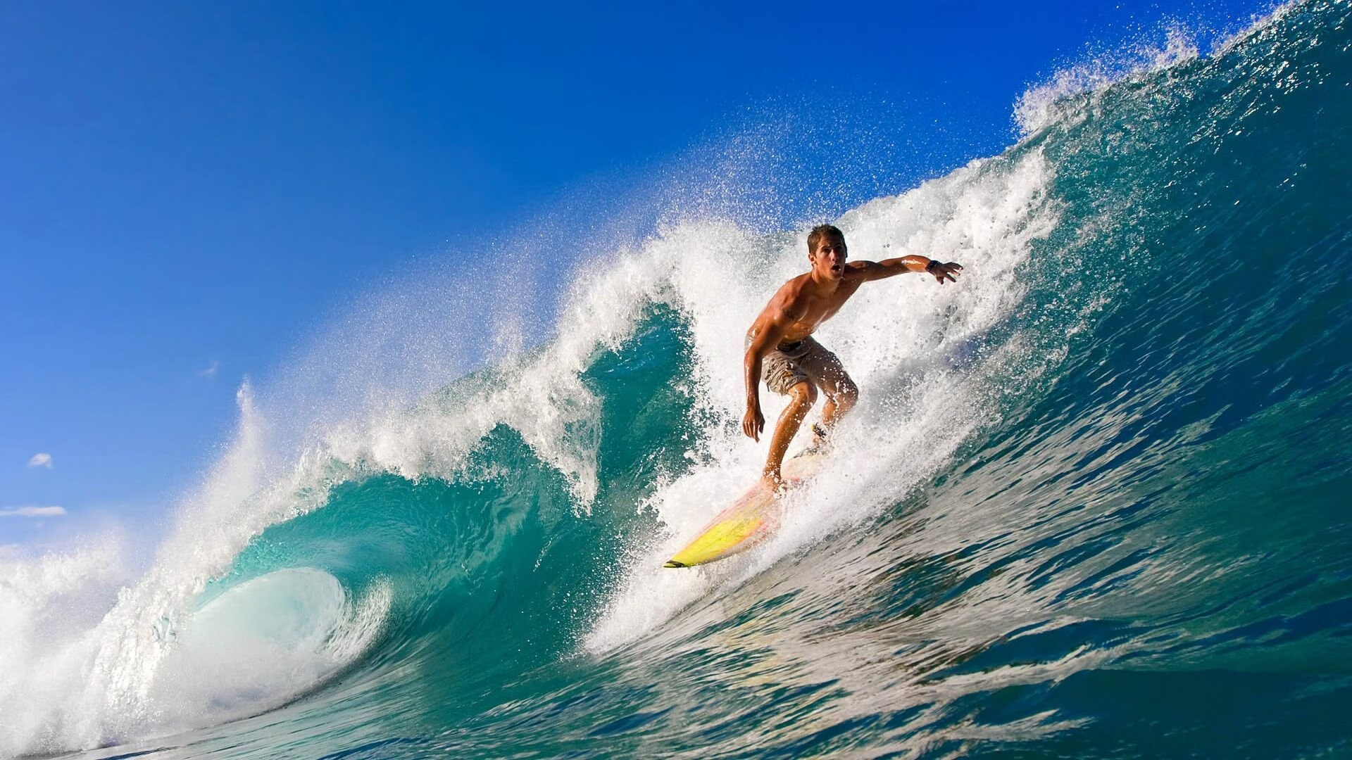 奥运备战策略聚焦资源集中配置，奥运备战总结