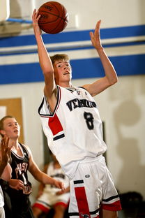 青少年篮球训练体系构建与实践研究，青少年篮球训练体系构建与实践研究论文